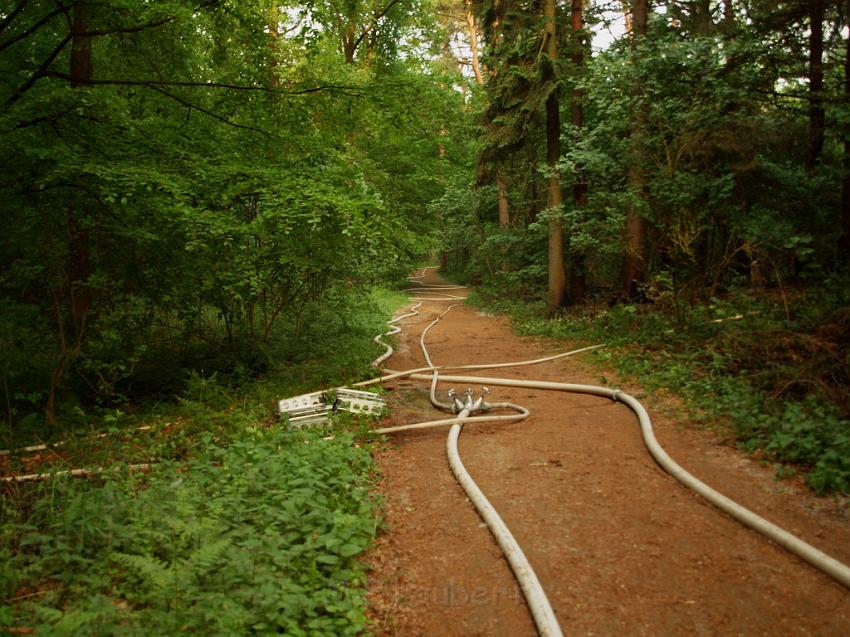 Waldbrand Bergisch Gladbach Bensberg P072.JPG